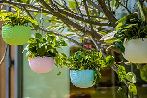 Image of EcoEverGreen Set of 2 Plastic Hanging Planters with Chain| Round Flower Pots for Indoor & Outdoor Gardening | Lightweight & Durable Decorative Hanging Baskets for Balcony, Garden (Orange, 7INCH)