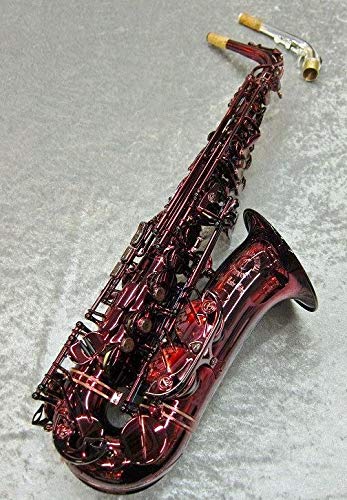 Amazon | Cannonball キャノンボール アルトサクソフォン BIG BELL 