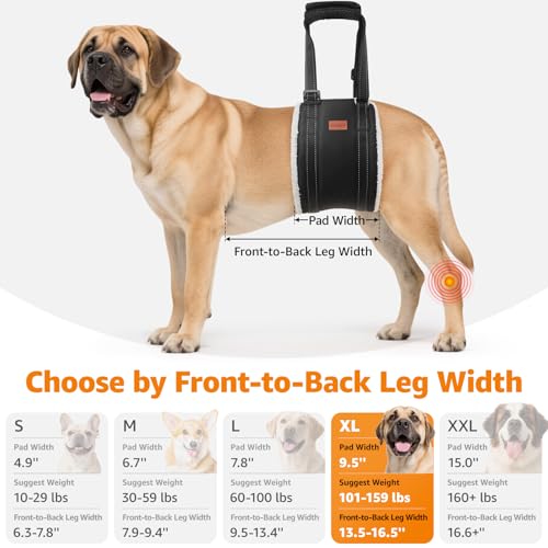 Image of LOOBANI Dog Sling for Large Dogs Hind Leg Support, Portable Dog Lift Harness for Back Legs, Comfortable Leg Support Assistance for Elderly Dogs with Hip, ACL Brace, Senior, Injured