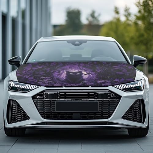 Image of Black Cat Car Hood Cover All Weather Protection Auto Exterior Accessories Halloween Universal Fit Hood Covers for Cars, Trucks, SUV, or Van Full Coverage