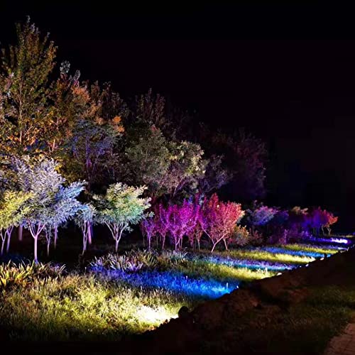 Rsn Led Outdoor Spotlight 18W Rgb Color Changing Led Landscape Lights Cob Led Spotlights Waterproof Garden Lights With Remote Controller For Tree,Flag,Wall,Lawn #TOP6