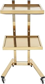 Salon Tray 2 Tier Metal Rolling Cart, Stainless Steel Salon Tray W/Wheels, Foldable Utility Carts, Folding Trolley for Tattoo