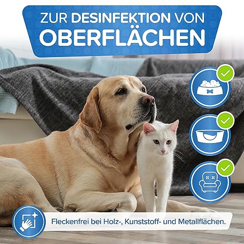 Patronus Giardien-Spray speziell für Hund & Katze 500ml - Hygiene-Spray für Haustiere als Desinfektionsmittel für Oberflächen gegen Viren, Bakterien & Pilze - hochwirksam & hautschonend