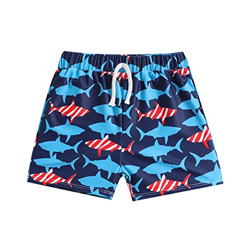 TDEOK Bañador estampado para niños pequeños, traje de baño para niños, pantalones cortos de playa, traje de baño para niños pequeños (Z001-B-azul, 18-24 meses)