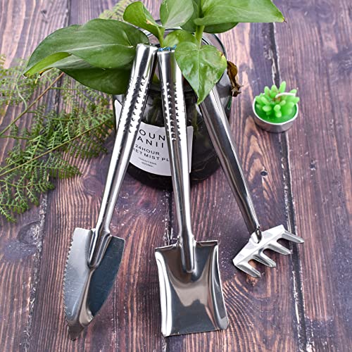 Set mini herramientas de jardín de 3 piezas acero inoxidable miniatura 4