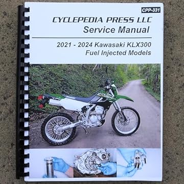 kawasaki 300 dual sport