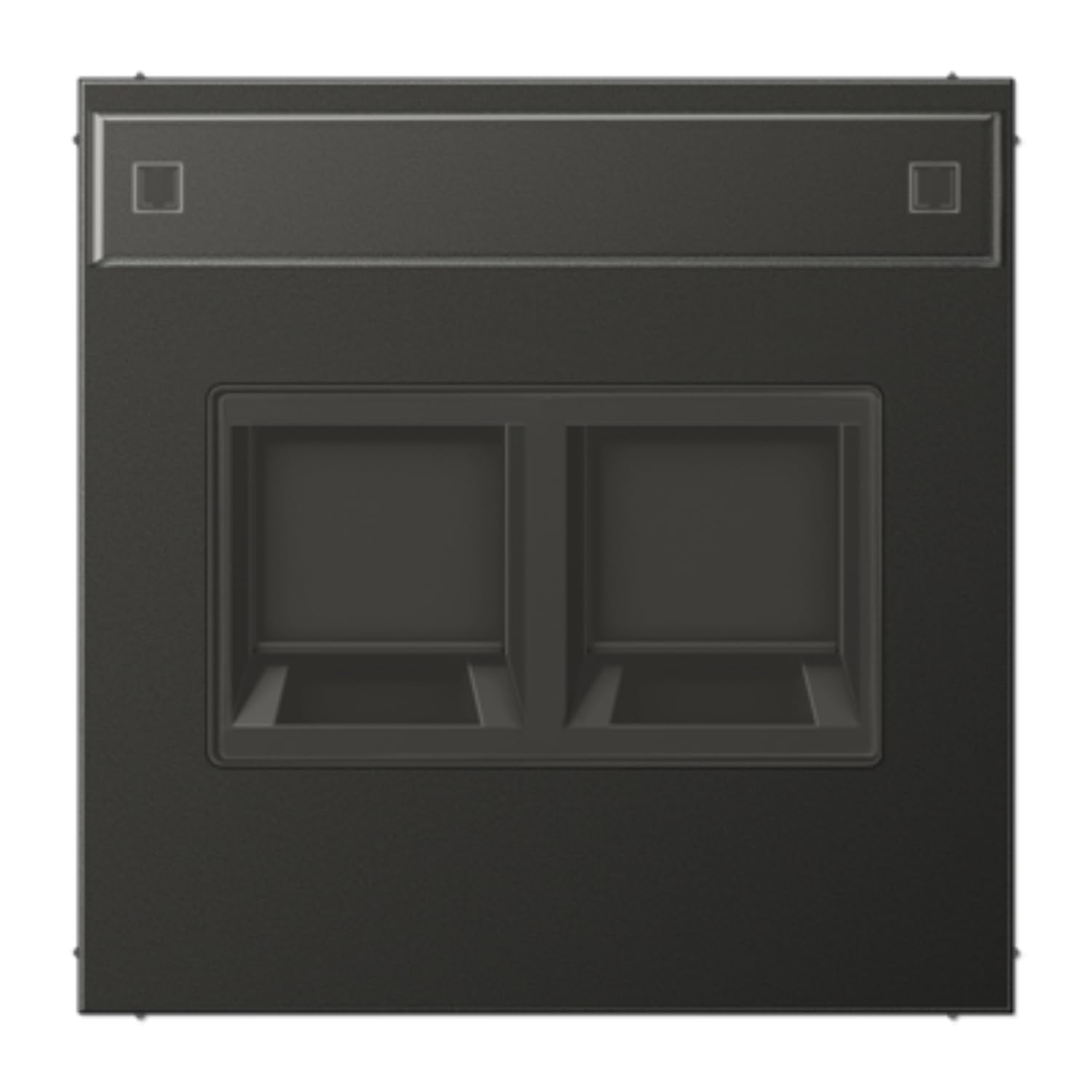 Plaque modulaire Jack 2 prises JUNG AL1969-25NAWEAN enjoliveur encastrable anthracite