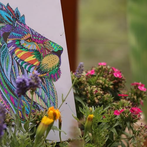 Whispers EP 5 Genital Public, The Spell Of Normalcy ,The Strangerly