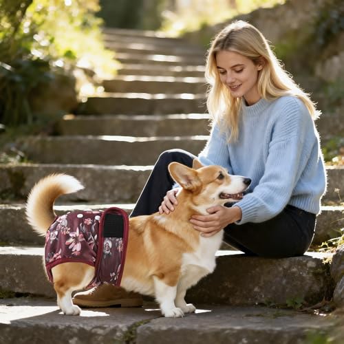 Image of Washable Reusable Female Dog Diapers(5 Pack) Small Medium Large Doggie Puppy & Doggy Dog Diaper, Period Panties in Heat Medium Butterflies and Dragonflies