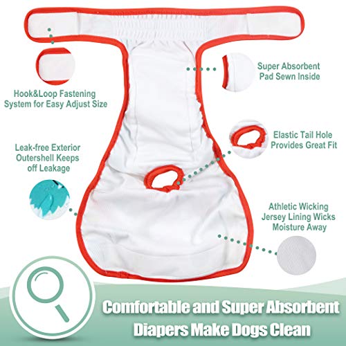 Image of wegreeco Washable Female Dog Diapers (Pack of 3)