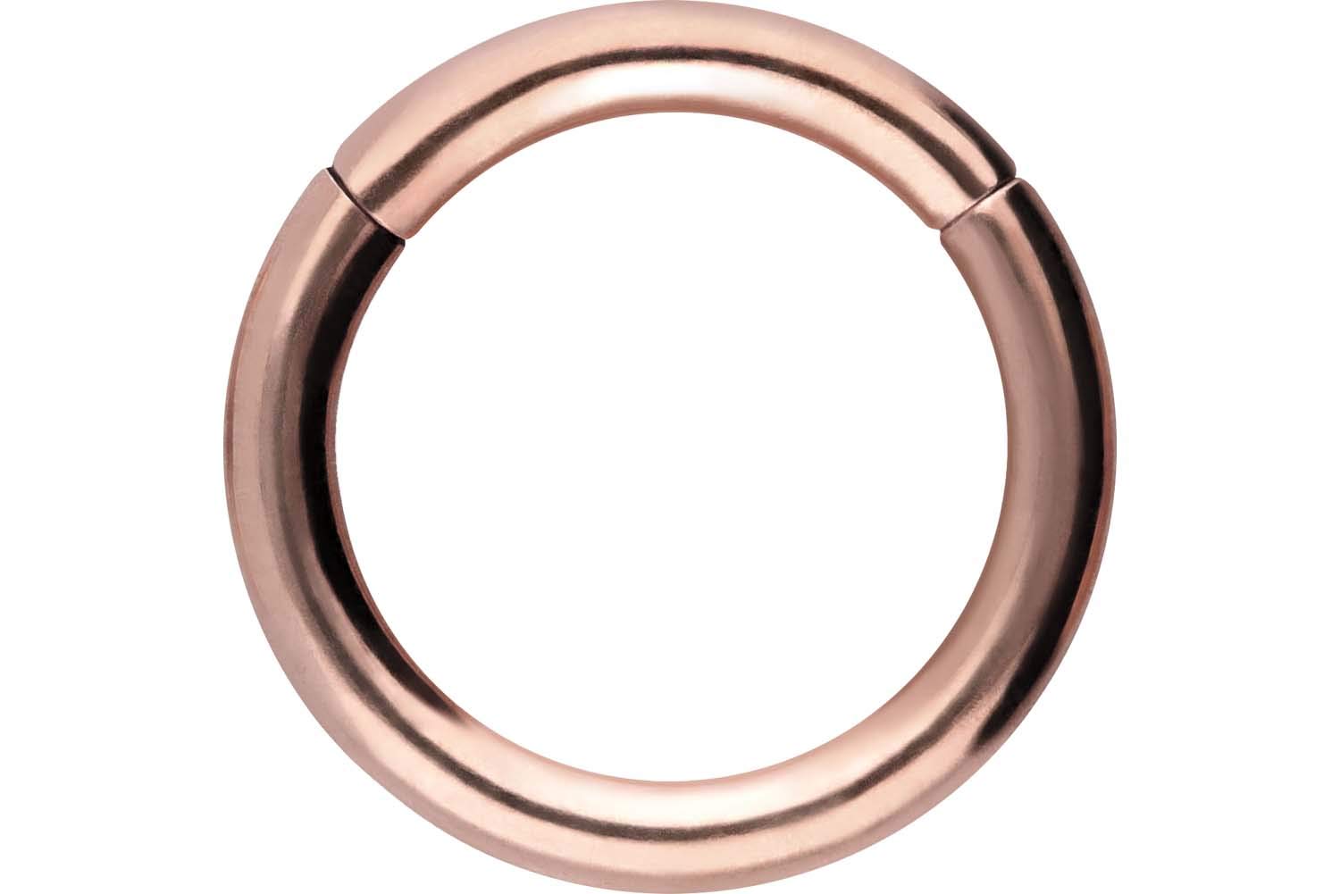 PIERCINGLINE Anillo segmento Clicker de acero quirúrgico – Piercing en oro, plata, rosa, negro o azul – para nariz, tabique, oreja, hélice o tragus — view 44