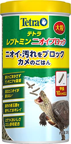 Amazon.co.jp: Tetra: レプタイル