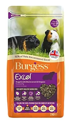 Excel Burgess Guinea Pig Nuggets Blackcurrant and Oregano, 2 kg (pack of 2)