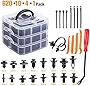 GOOACC 635Pcs Car Push Retainer Clips & Auto Fasteners Assortment -16 Most Popular Sizes Nylon Bumper Fender Rivets with 10 Cable Ties and Fasteners Remover for Toyota GM Ford Honda Acura Chrysler