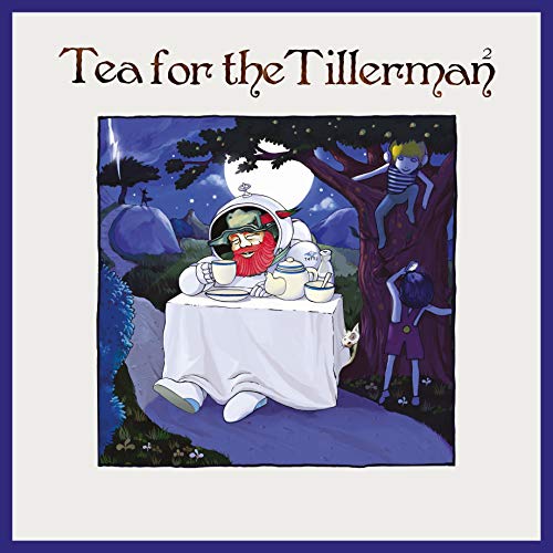 Album Art for Tea For The Tillerman 2 by Yusuf / Cat Stevens