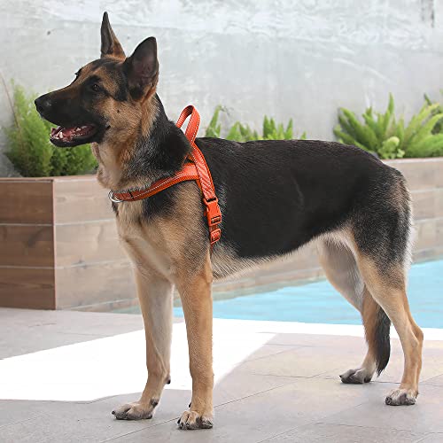 Image of Plutus Pet No Pull Dog Harness for Large Dogs, Breathable Mesh Padded