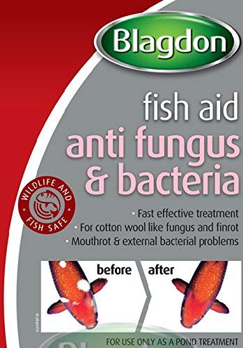 Blagdon Trattamento antifungino e antibatterico