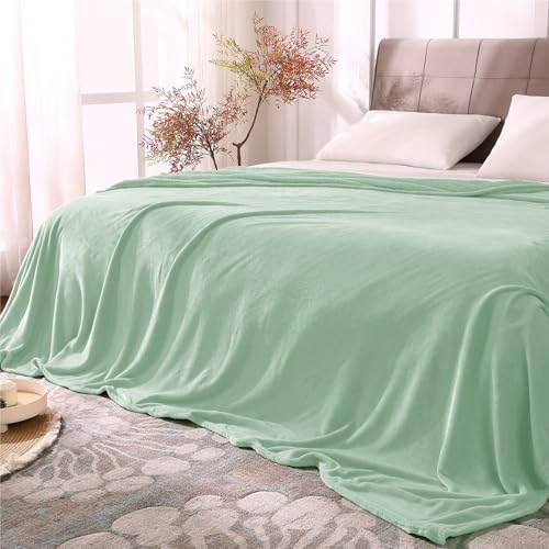 Image of BEDELITE Fleece Blanket King Size Blankets for Bed, Luxury Plush Cozy Fuzzy Blanket 108x90 inches, Super Soft Warm Lightweight Throw Blanket All Seasons Suitable, Mint Green