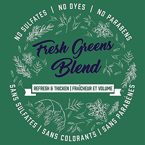 Aveeno Fresh Greens Shampoo + Conditioner With Rosemary, Peppermint & Cucumber To Thicken & Nourish, Clarifying & Volumizing Shampoo For Thin Or Fine Hair, Paraben-Free, 12 Fl Oz #TOP5