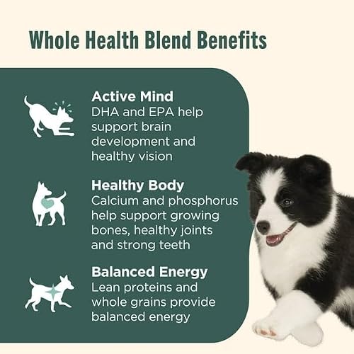 Bright Puppy Natural Dry Dog Food, Real Chicken & Brown Rice Recipe, 6lbs, Natural Food for Puppies with Added Vitamins and Minerals - Thumbnail 4