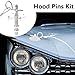 Klfte 2 Pack Trucks Hood Pin for Car, Stainless Steel Hood Pin Lock Clip with Racing Lanyard for Fixing Car Hood Cover & Reduce Shaking(Sliver)