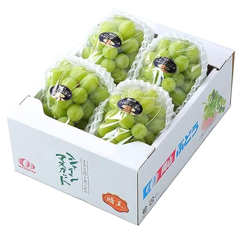 シャインマスカット 訳あり 5Kg」の人気商品一覧 | 安い商品を通販
