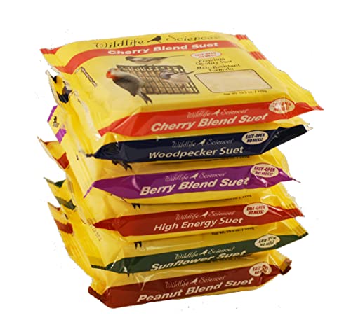Wildlife Sciences Suet Cakes for Wild Birds (6-Pack)