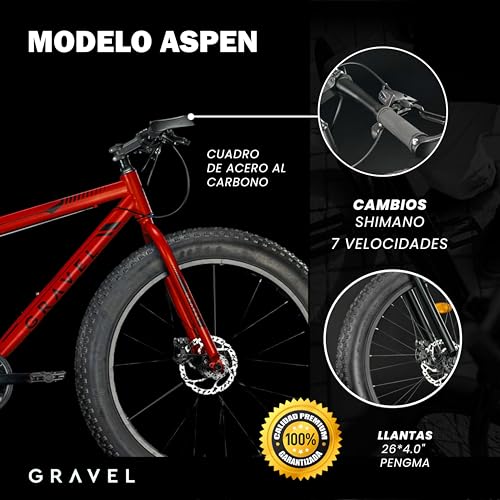 Review de Bici 100 euros los 7 más buscados. 23 Imagen adicional
