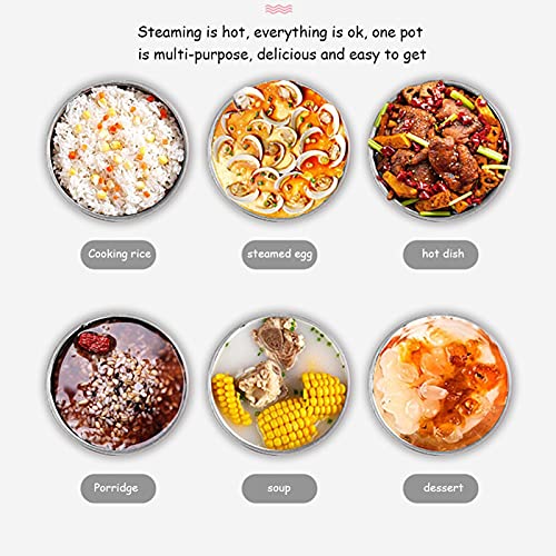 Lunch Box Elettrico, Scaldavivande Rimovibile a 3