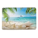 HIYOO Beach Starfish Seashell Dolphin Theme Design Non Slip Bathmat, Doormat, Bathroom Bath Floor Kitchen Area Door Entrance Rugs Mat, Super Soft Flannel Fabric with Inner Thick Sponge 16