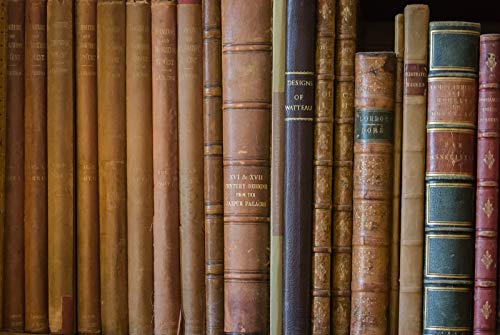 THE ETHICS OF NATURALISM: English and Spanish Edition