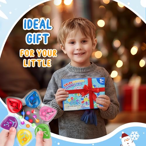 Image of Color Sorting Sensory Toys, Toddler Travel Fine Motor Toy, Preschool Learning Activities Calm Down Sensory Toys for Kids with Autism, Color Matching Montessori Fidget Toys for Kids Ages 3+, Snowflake