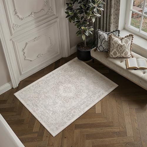 Gray 2x3 Entryway Area Rug Washable Vintage Door Mat Non Slip Low Pile Carpet Indoor Soft Retro Mat Oriental Medallion Grey Accent Throw Rug for Bathr