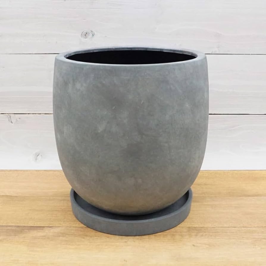 Amazon.co.jp: 植木鉢 おしゃれ 陶器鉢 アイルエッグL 最大外径27cm 9