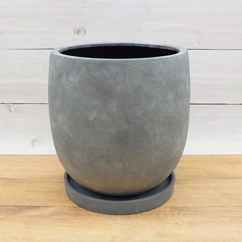 トゥイーティー 卵型プランター トゥイーティー 卵型プランター 【公式