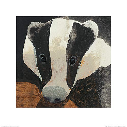 Julia Burns Badger -Stampa Artistica 40 x 40 cm Carta Multicolore 40 x 40 x 1.3 cm