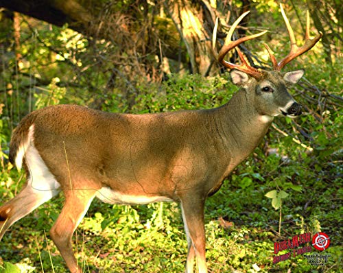 Duramesh Archery Targets Whitetail Deer #3, Dm221 #TOP2