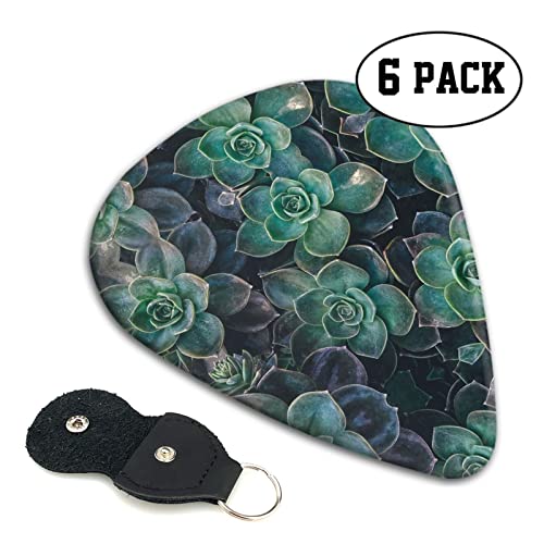 Succulent Plants Lot de 6 médiators pour guitare acoustique, guitare électrique, basse, ukulélé – fin, moyen et épais. - Les Beatles, Paul McCartney, John Lennon, RIngo Starr, George Harrison Succulent Plants Lot de 6 médiators pour guitare acoustique, guitare électrique, basse, ukulélé – fin, moyen et épais. – Image 3