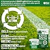 Elixir Gardens Lawn Sand & Moss Killer Treatment | Turf Green Up with Iron Sulphate | 4-0-0+3Fe | 20kg Bag | Treats over 310 sq. meters