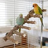 2 Stück Natur Wellensittich Sitzstangen Set für Vögel, Natur Holz Papagei Vogelständer, Spielzeug Vogelkäfig für Kleine, Mittelgroße Papageien, Wellensittiche, Aras, Liebesvögel(30 * 10cm)