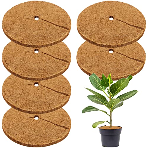 Legigo 6Pcs 24" Dia Coconut Fibers Tree Mulch Ring Protector Mat- Natural Coco Coir Tree Protection Weed Mats For Cypress, Landscaping, Tree Disc Plant Cover, Soil Cover For Indoor Outdoor Plants #TOP12