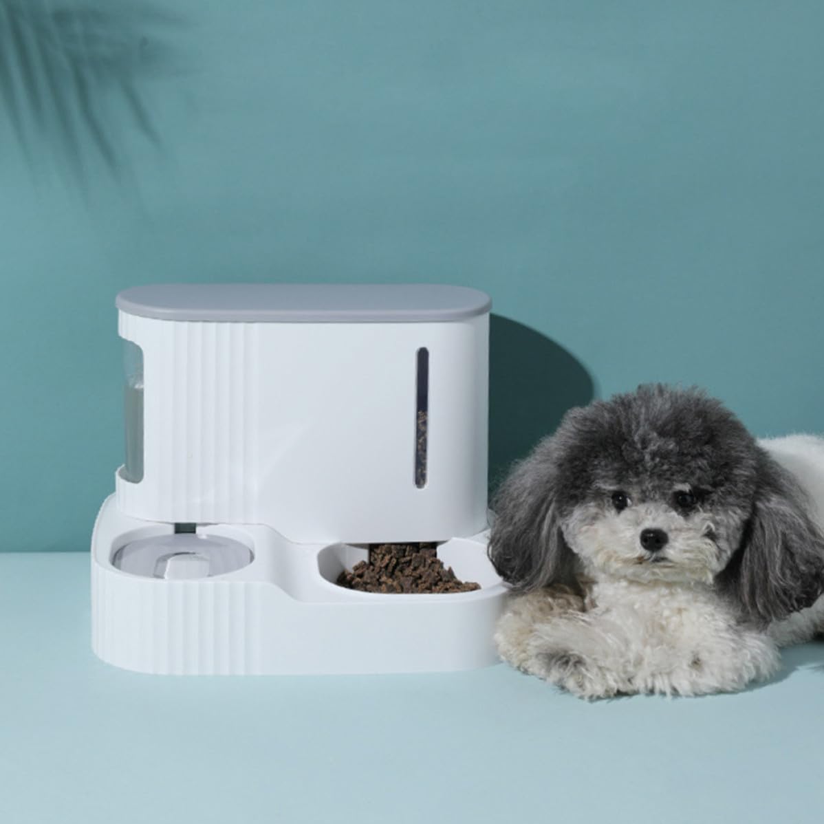 Distributore Automatico Cibo e Acqua Staccabile per Animali Domestici, Alimentazione e Abbeveraggio a Gravità Abs e Pet, 3l + 0,85l Colore Casuale per Cani e Pet
