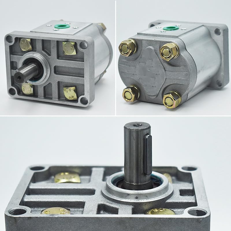 hydraulische Zahnradpumpe, Hydraulikölpumpe,Wird in der Elektroenergie-, Chemie(Flat end-Right-hand,CBN-F304)