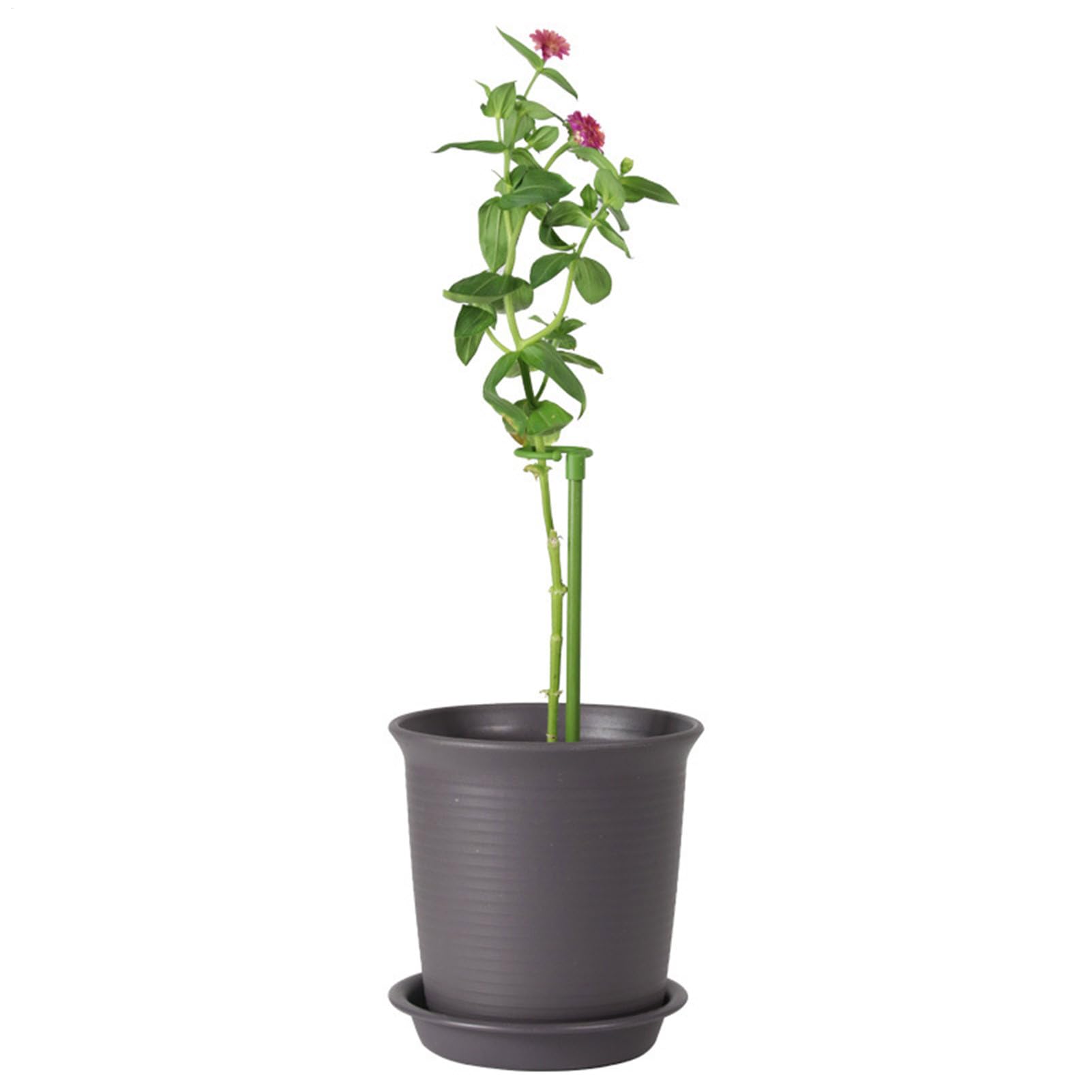 Valink Supporti Per Piante A Stelo Singolo, 10/20/30 Pezzi, Anelli Di Supporto In Plastica E Fibra Di Vetro, Per Gigli, Rose, Peonie, Pomodori