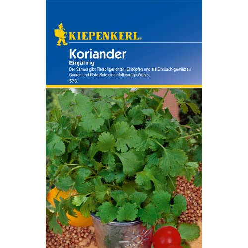 Sperli Gemüsesamen Koriander einjährig, grün