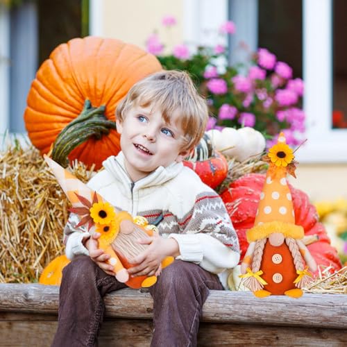 2 Gnomes Automne Lumineux LED - Peluche Douce, Base Lestée, Décoration Thanksgiving Et Récolte