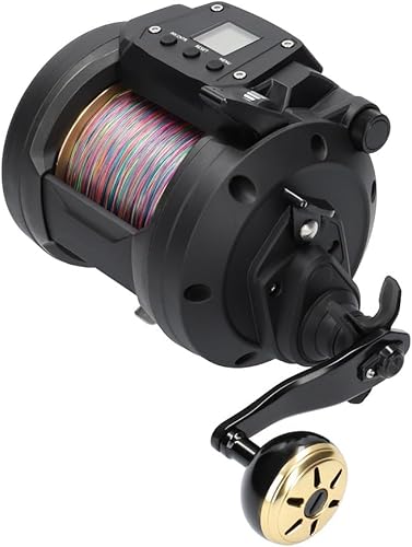 Daiwa Carrete Tanacom Dendoh - 800