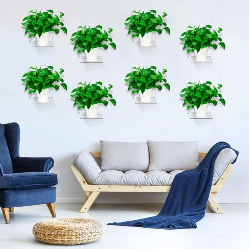 Image of Parikshit Sublimation 4 Pcs Invisible Small Wall Rack Shelf Plant Stand for Living Room Bedroom Home Decor Bathroom Kitchen Office