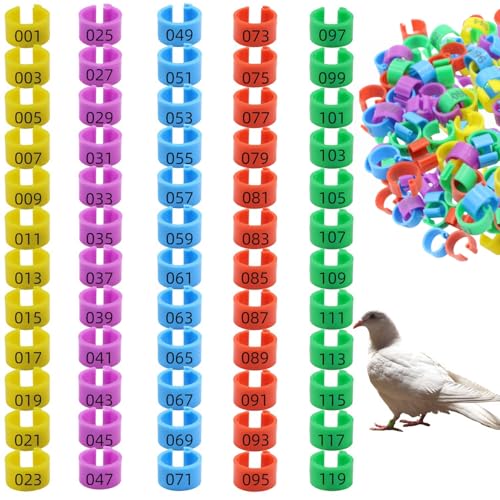 DoubleWood Leg Bands for Birds