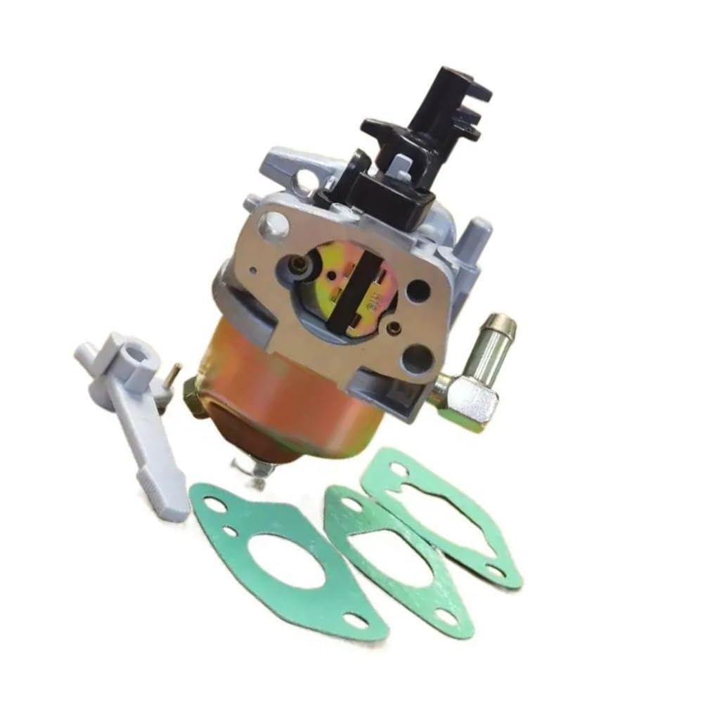 Carburateur 170HJ contre les fuites d'essence sur motorisation RT65 C46540